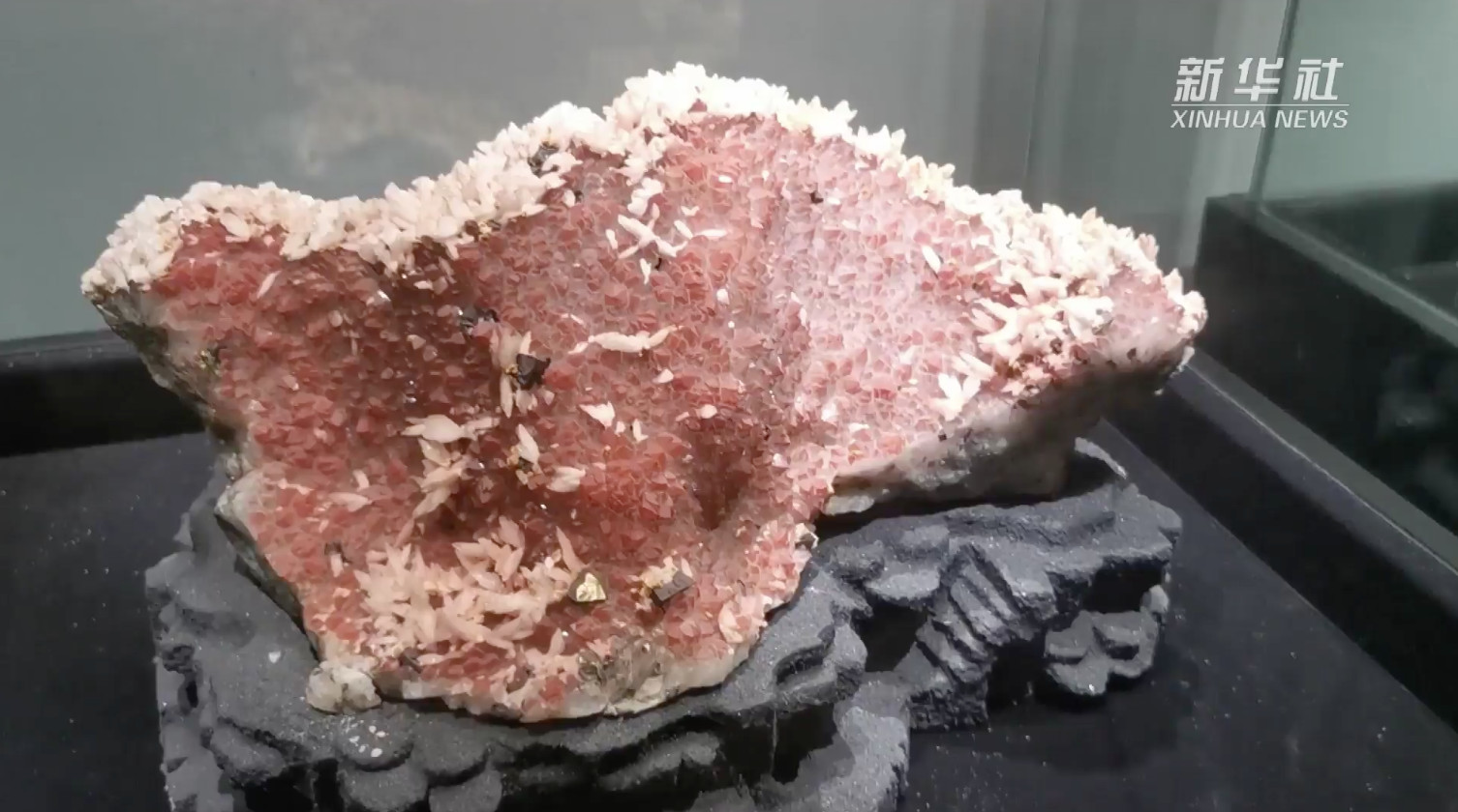 世界杯投注平台