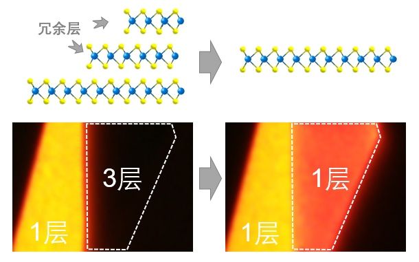 世界杯投注平台