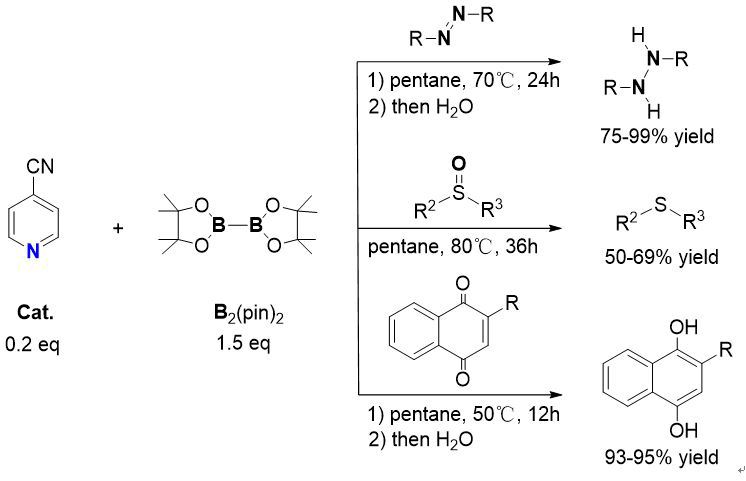 世界杯投注平台