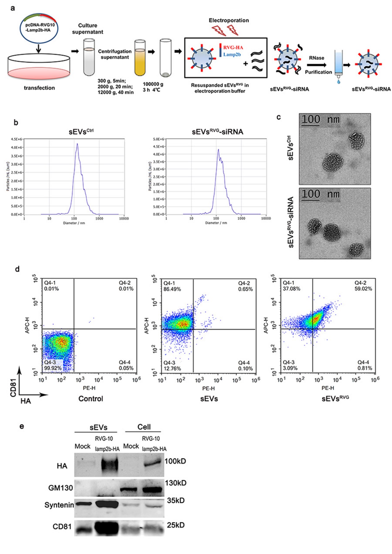 1_932441 世界杯投注平台