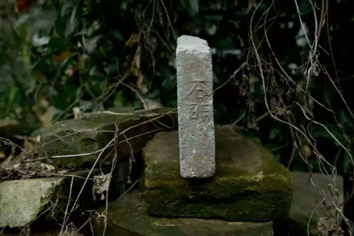 世界杯投注平台