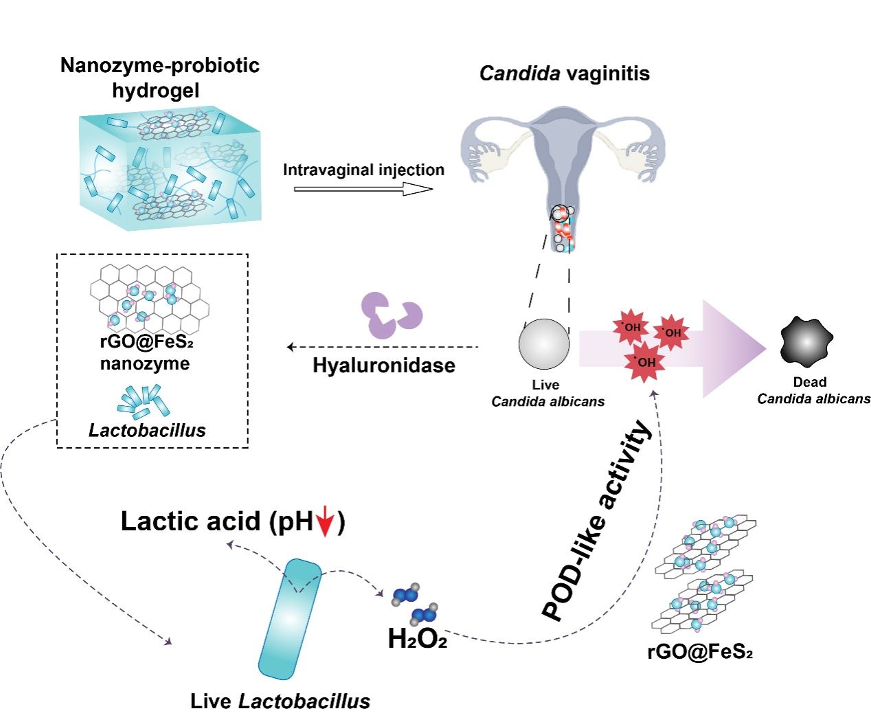 世界杯投注平台