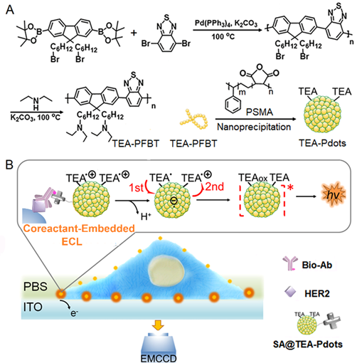 世界杯投注平台