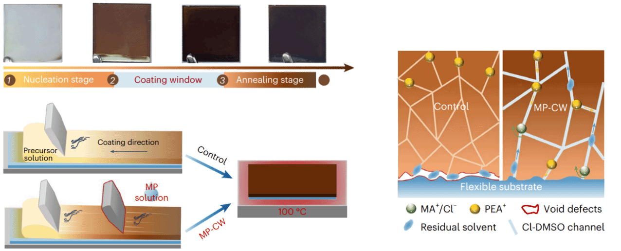 世界杯投注平台