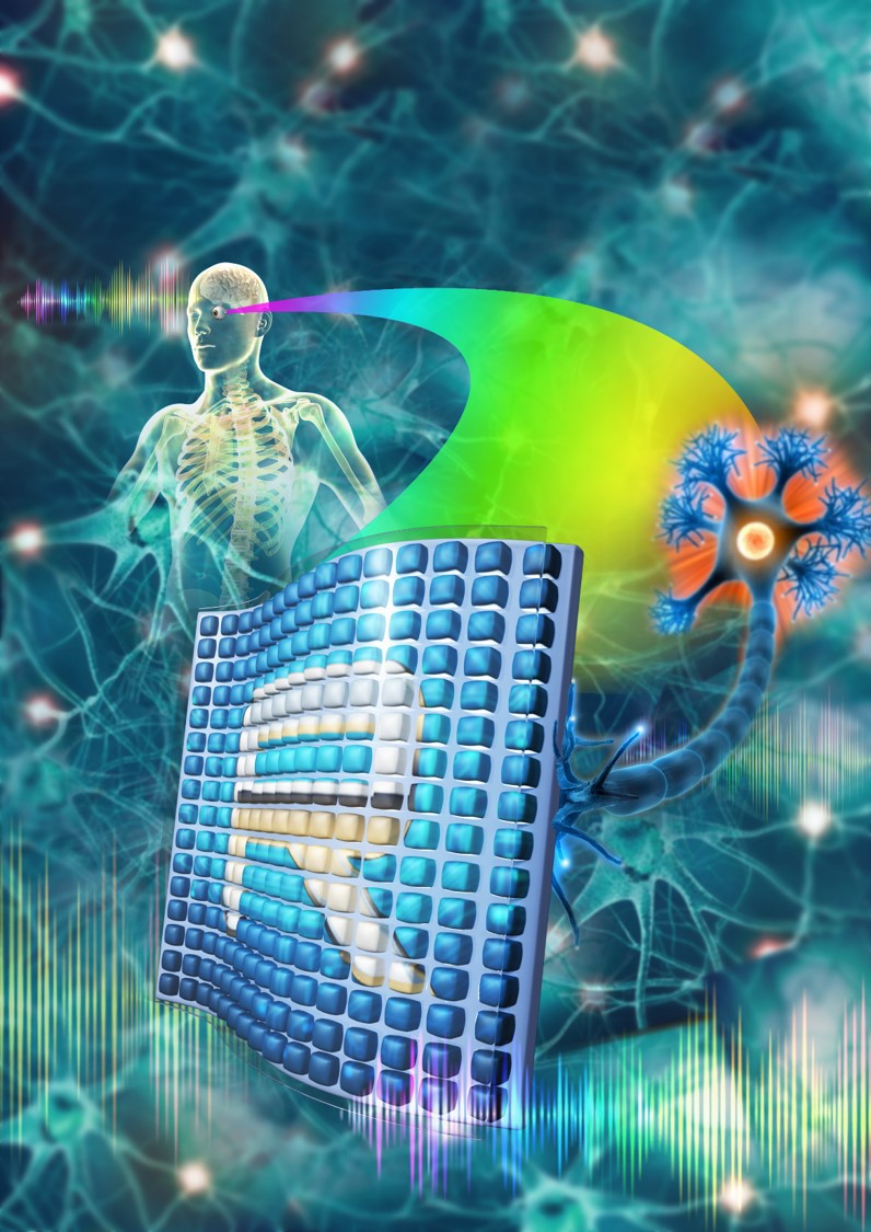 世界杯投注平台