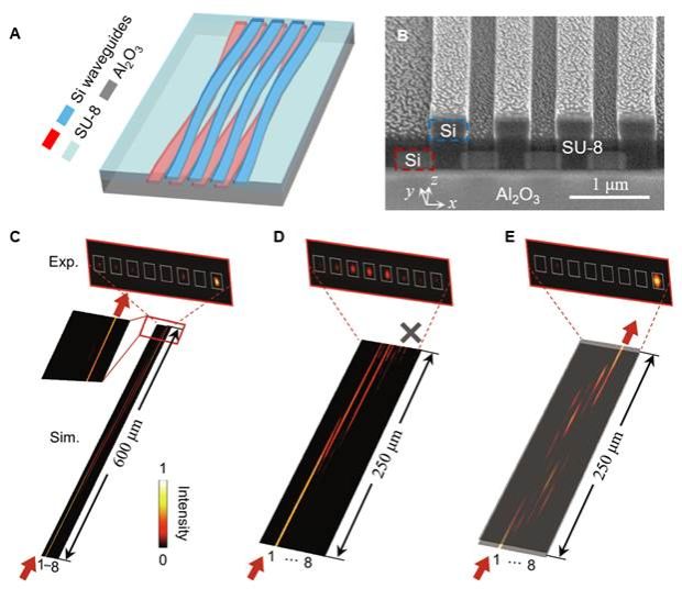 世界杯投注平台