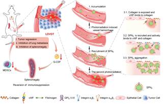 世界杯投注平台