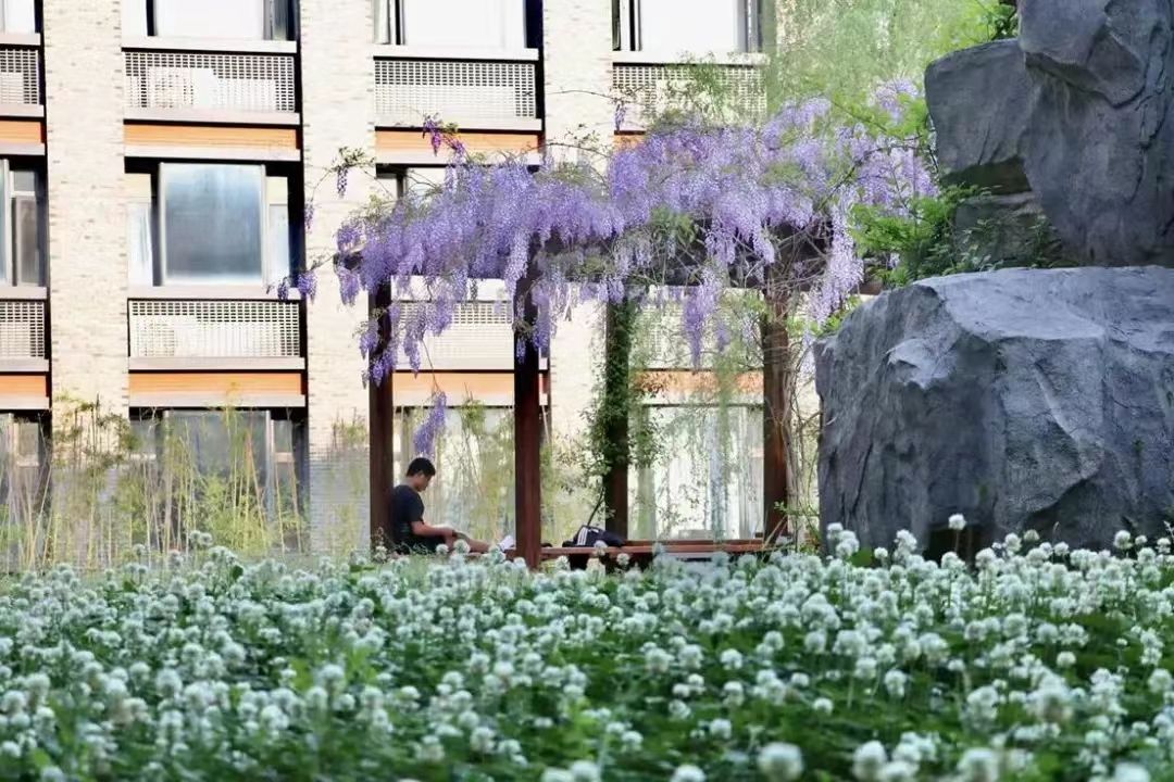 世界杯投注平台