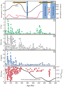 世界杯投注平台