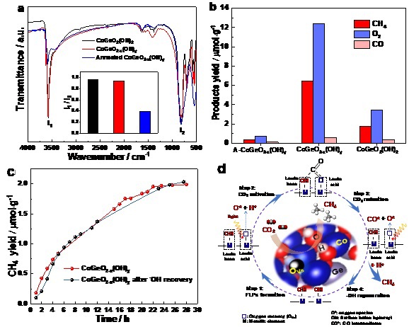 世界杯投注平台