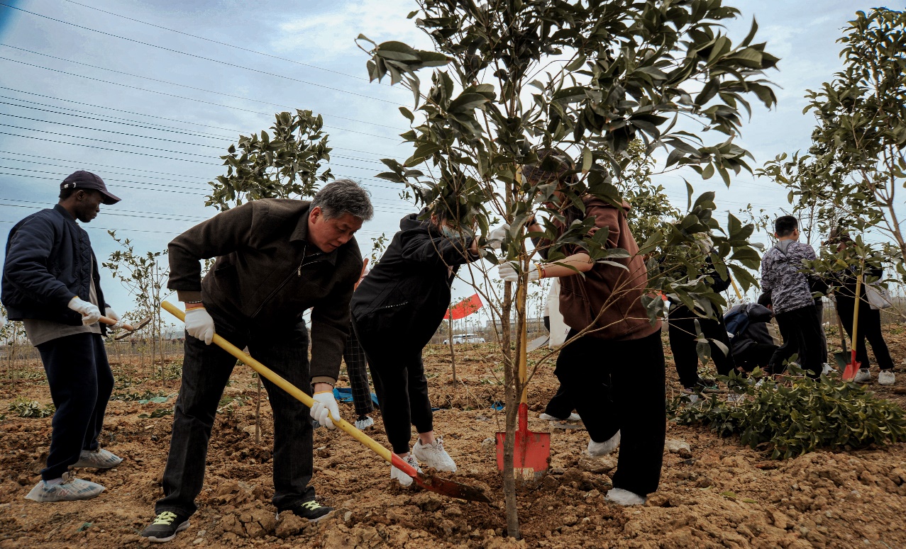 世界杯投注平台
