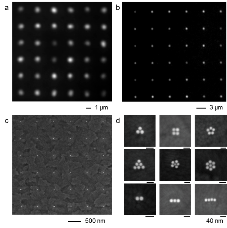 世界杯投注平台