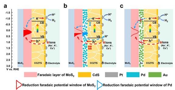 世界杯投注平台