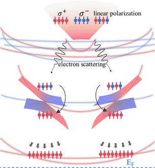 世界杯投注平台