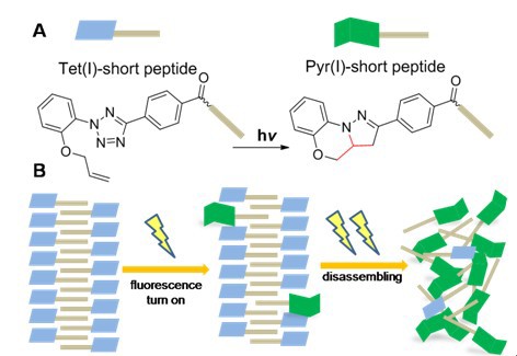 世界杯投注平台