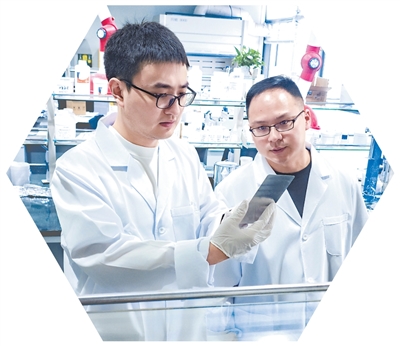 世界杯投注平台