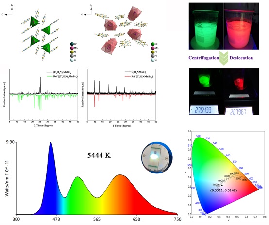 2 世界杯投注平台