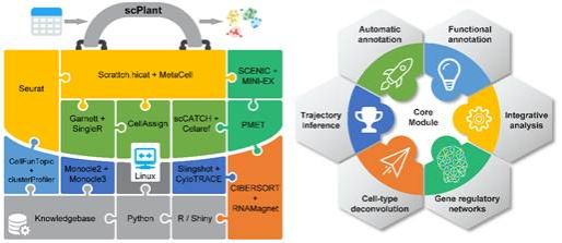 世界杯投注平台