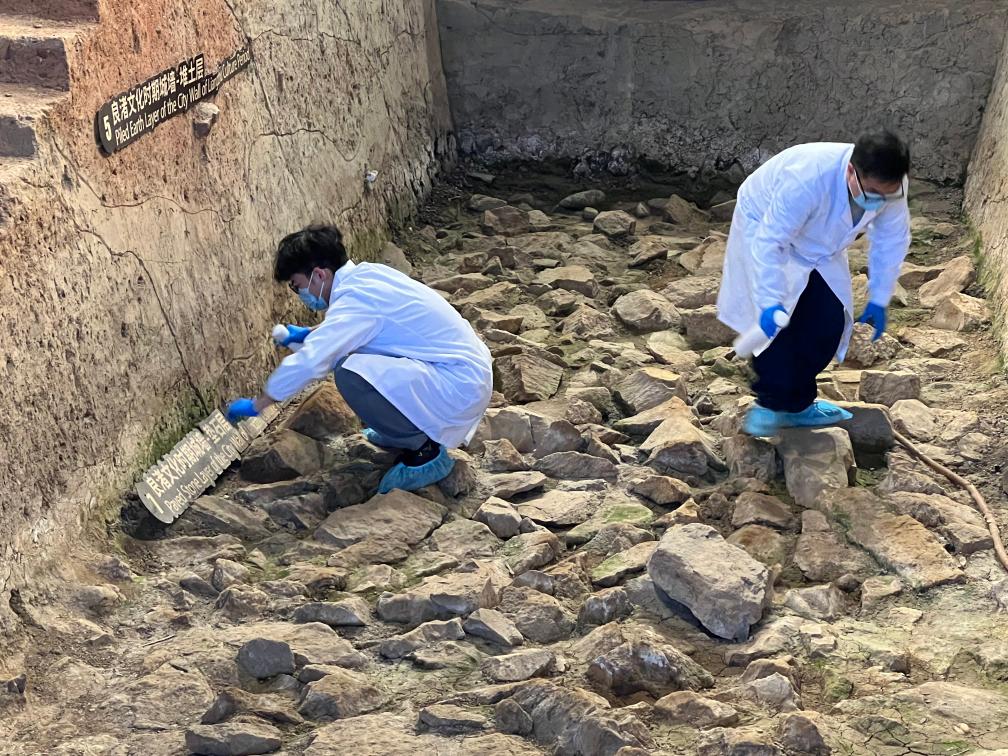 世界杯投注平台