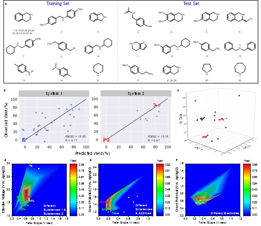 世界杯投注平台