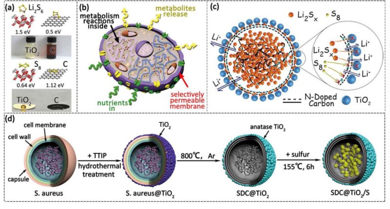 世界杯投注平台