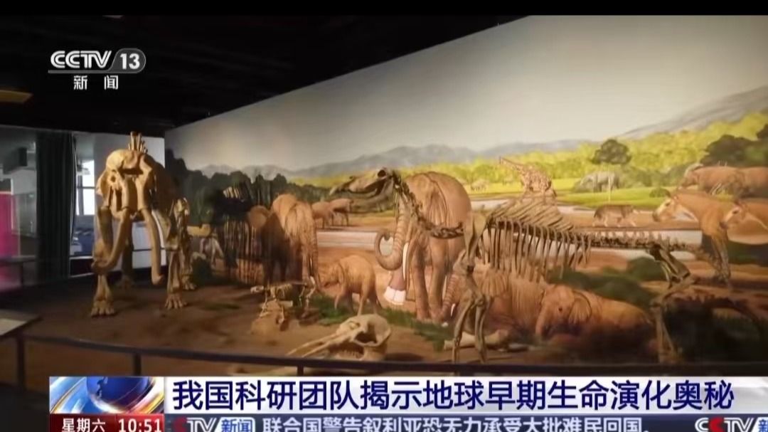 世界杯投注平台