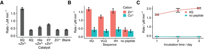 世界杯投注平台
