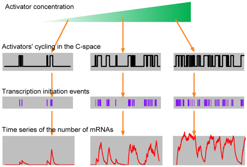 世界杯投注平台