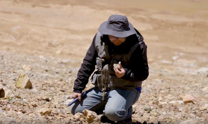 世界杯投注平台