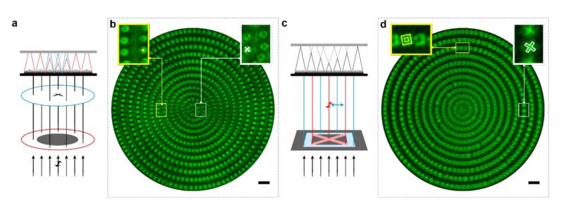 世界杯投注平台