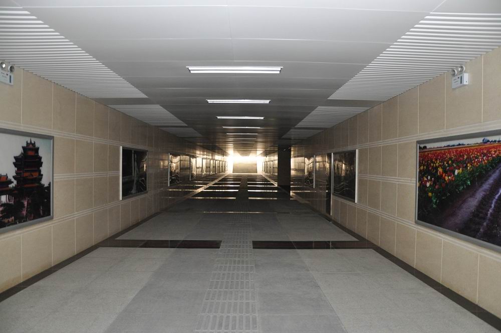 世界杯投注平台