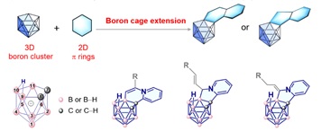 世界杯投注平台