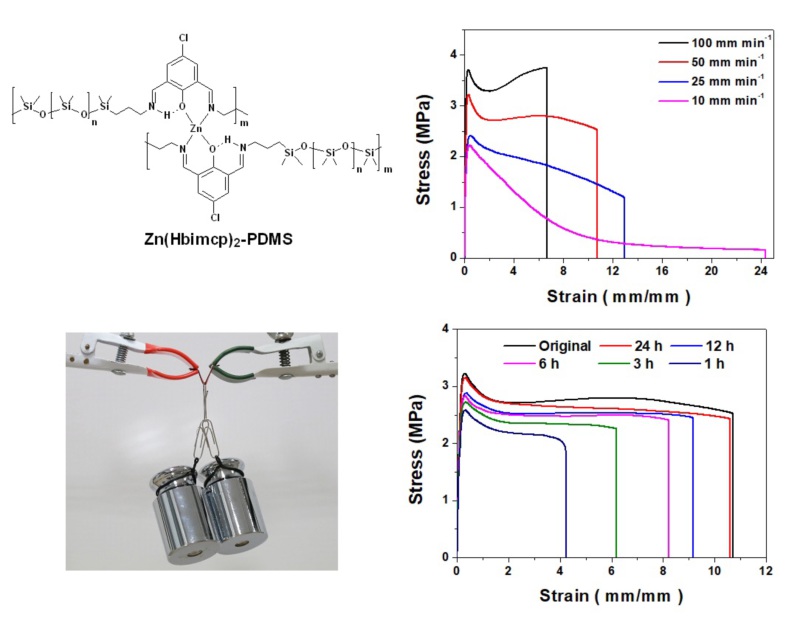 世界杯投注平台