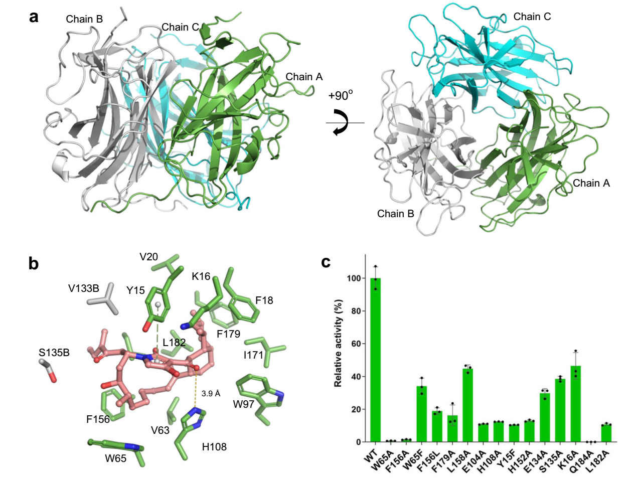 世界杯投注平台