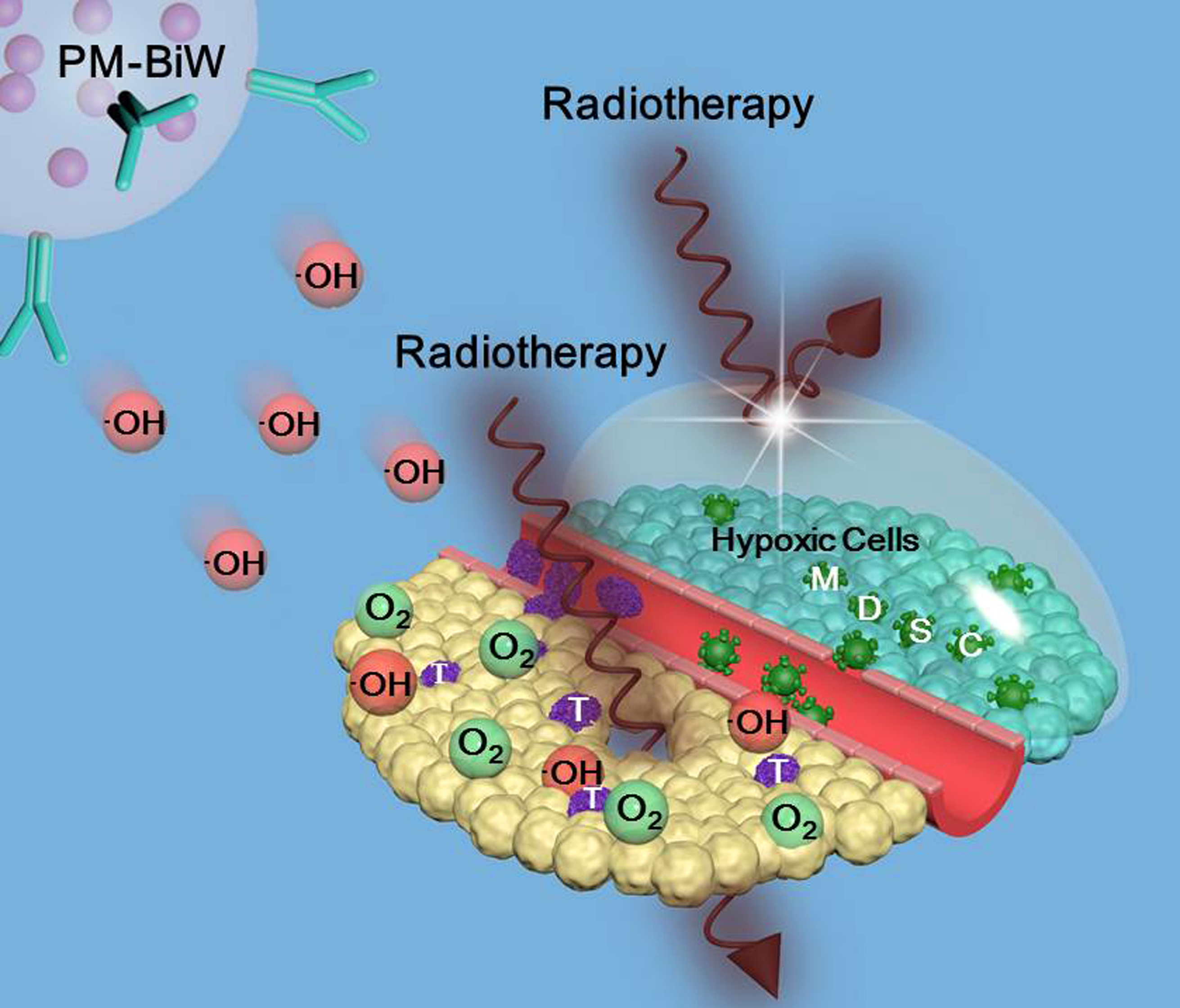 世界杯投注平台