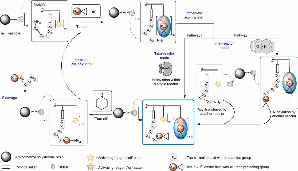 世界杯投注平台