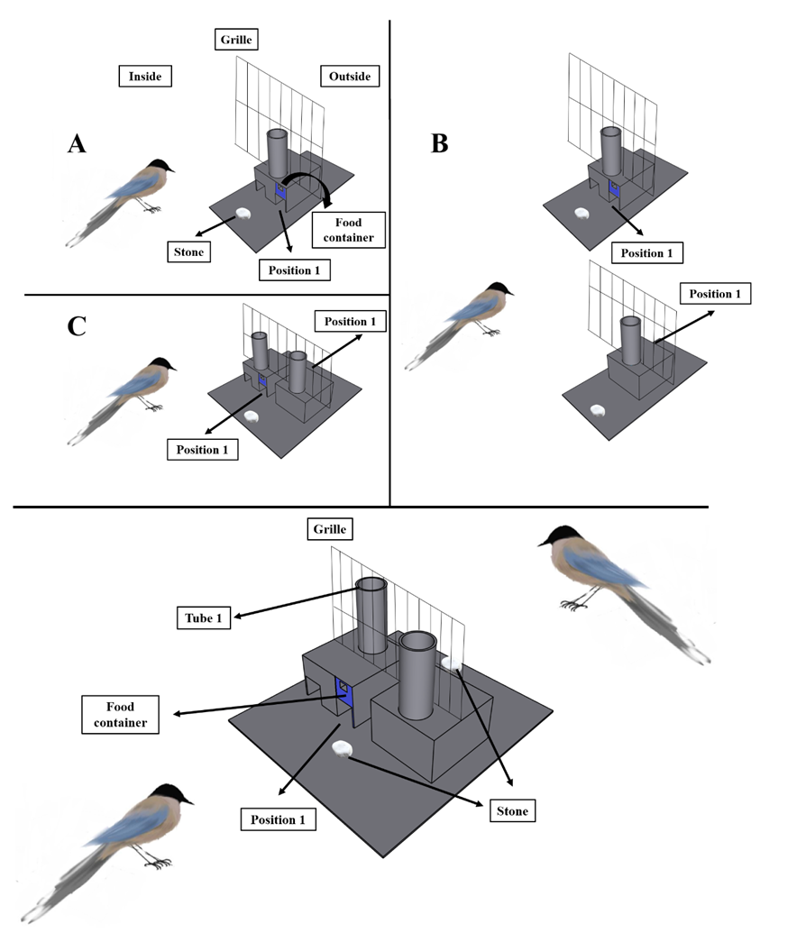 世界杯投注平台