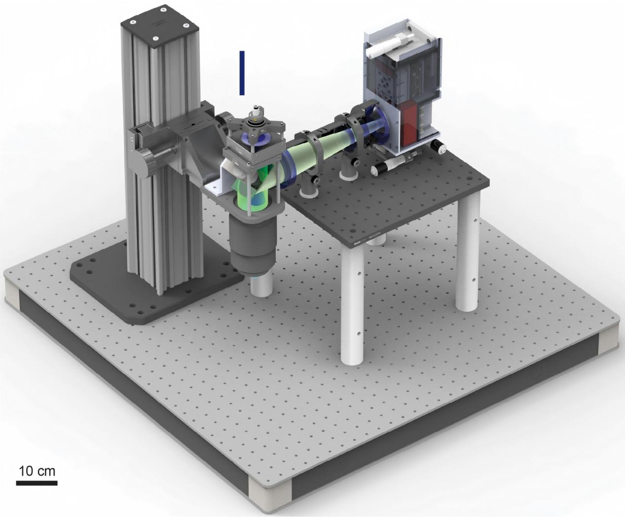 世界杯投注平台