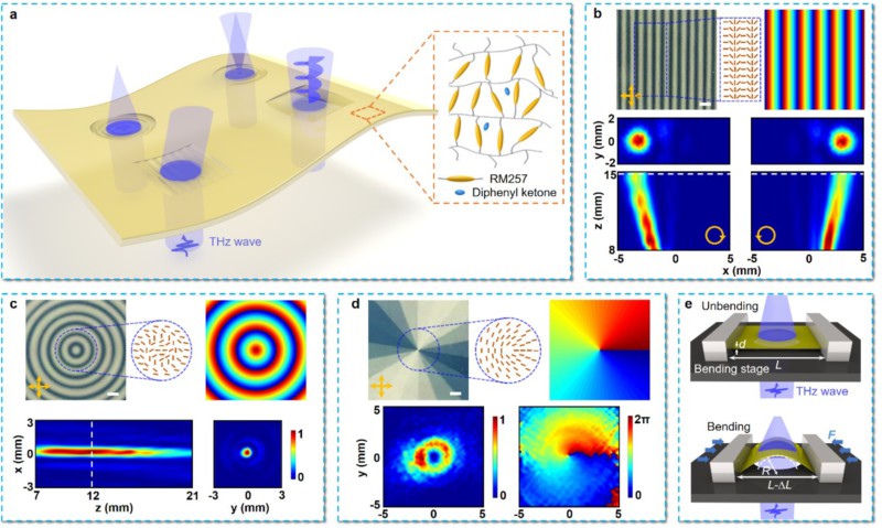 世界杯投注平台