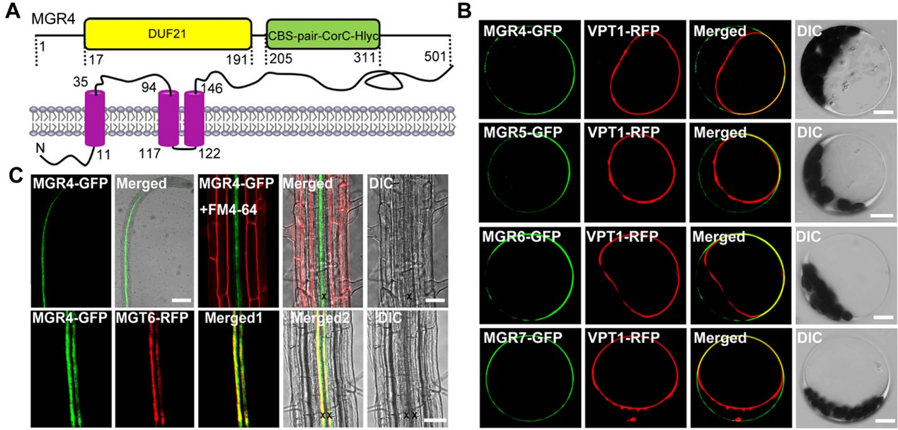 图片11 世界杯投注平台