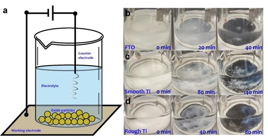 世界杯投注平台