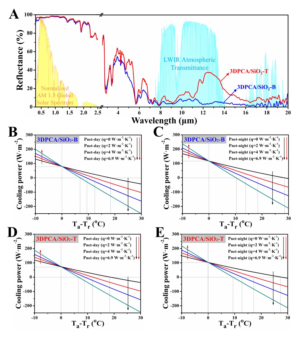世界杯投注平台