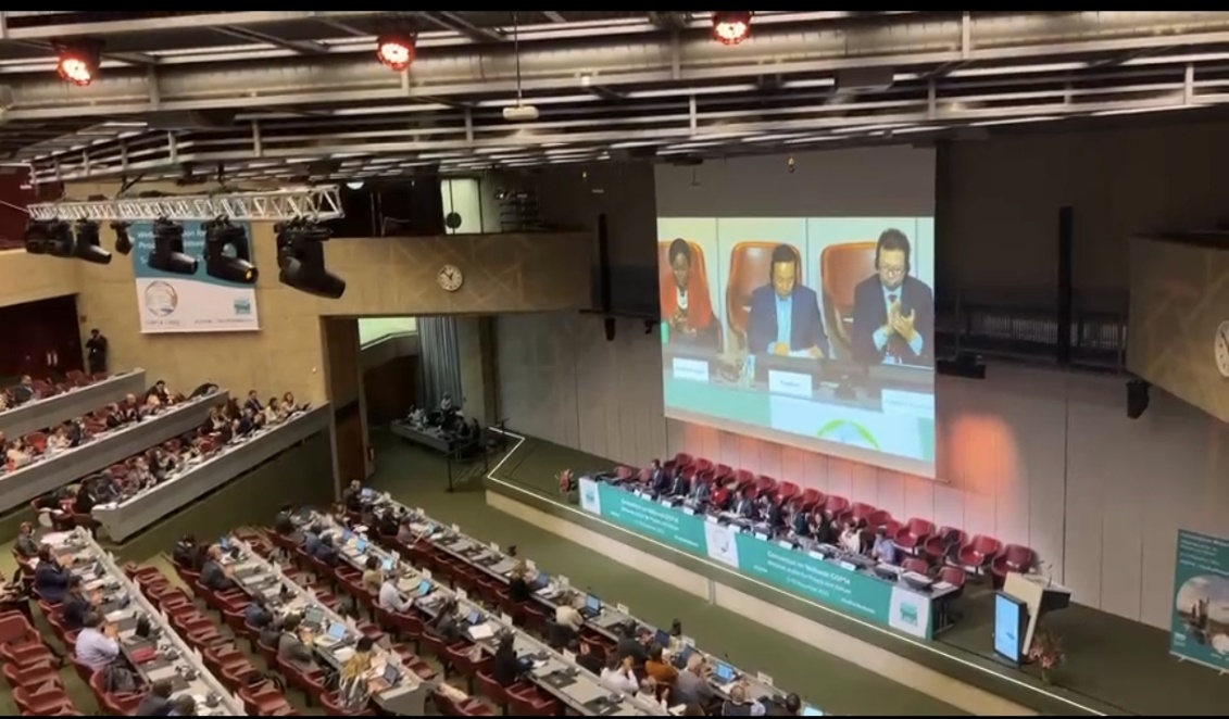 世界杯投注平台