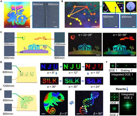 世界杯投注平台