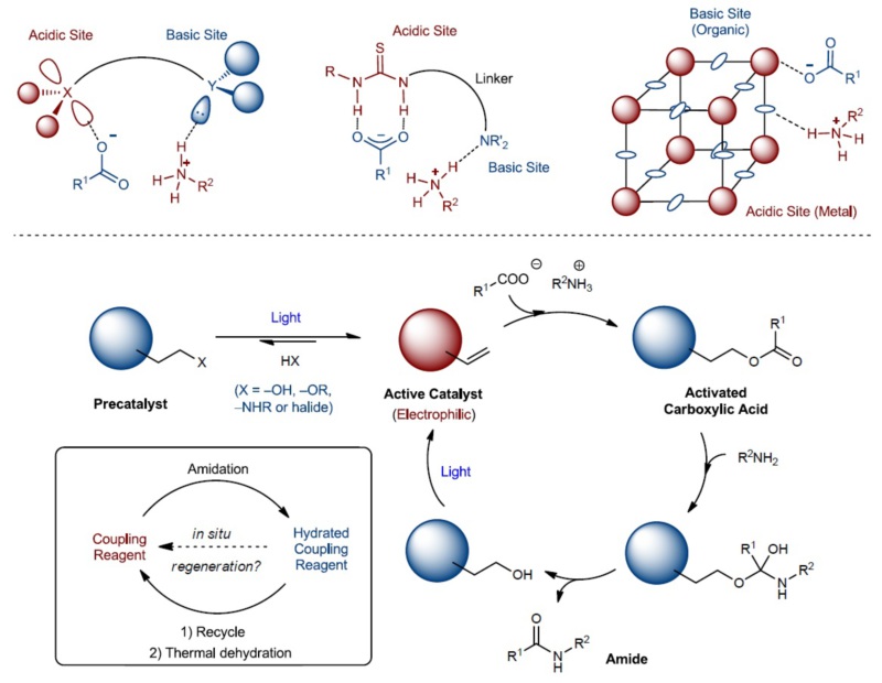 世界杯投注平台