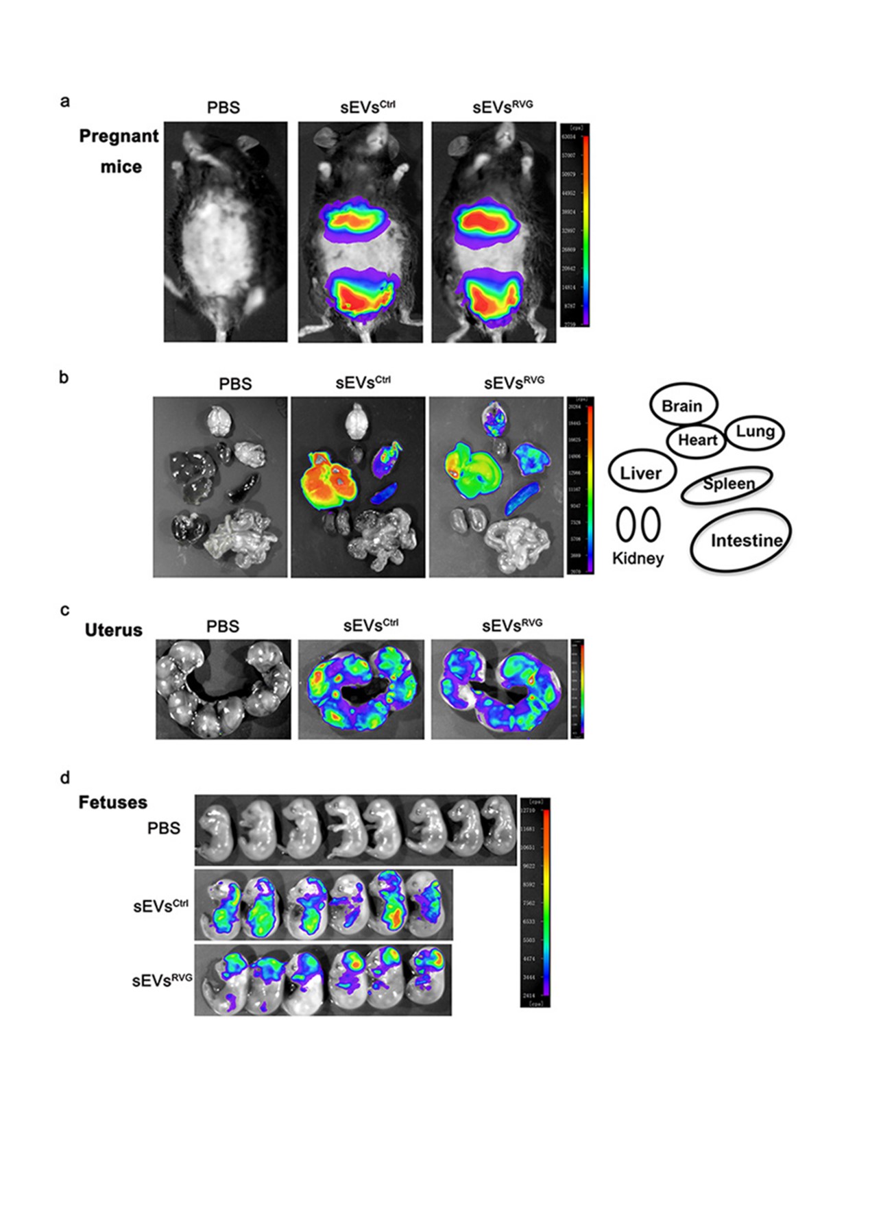 3_204423 世界杯投注平台