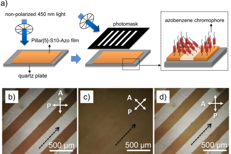 世界杯投注平台