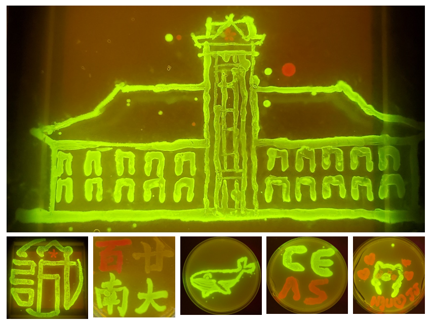 世界杯投注平台