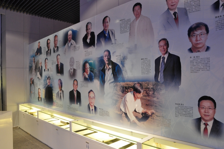 世界杯投注平台