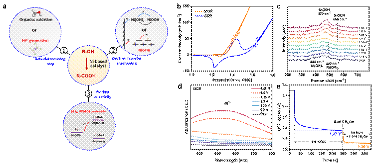 世界杯投注平台